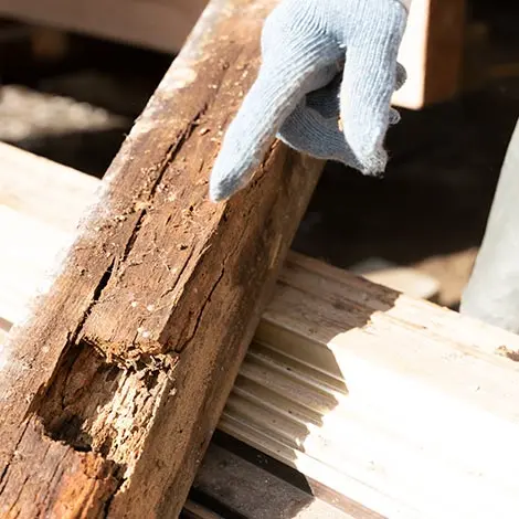 Traitement des bois en Dordogne